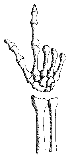 a skeleton hand pointing up; clicking it returns you to the top of the page