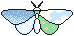 Manatee's Bug