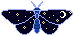 gibb's Bug